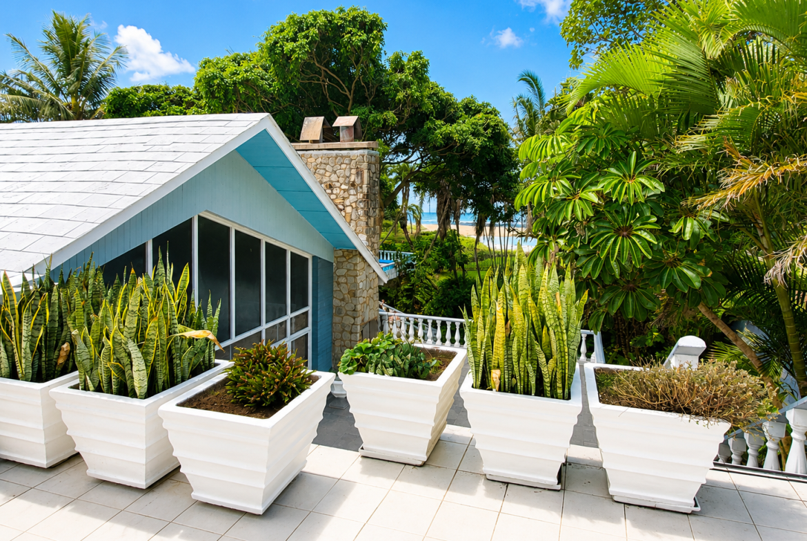 Exceptional Beachfront Property with cottage Shelly Beach, Beach Front