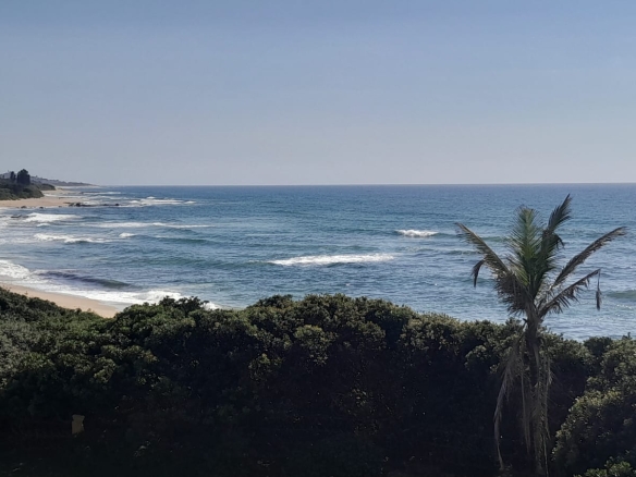 Prime Beachfront Living in Shelly Beach