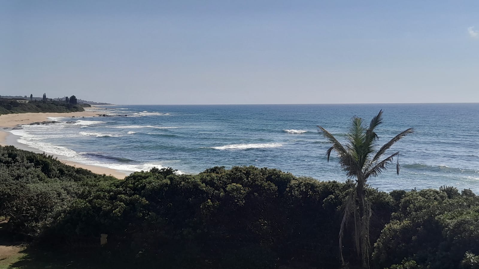 Prime Beachfront Living in Shelly Beach