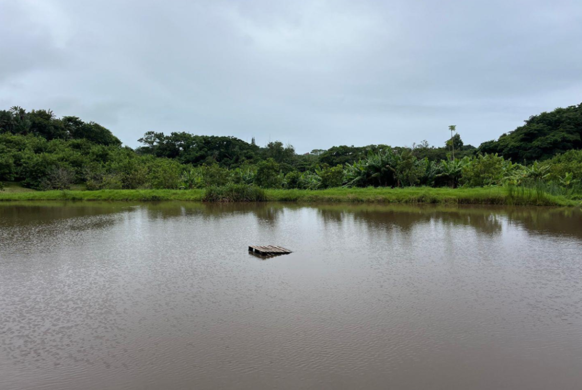 Exceptional 4.5ha Macadamia Farm with 2 Dwellings, Dam & Borehole