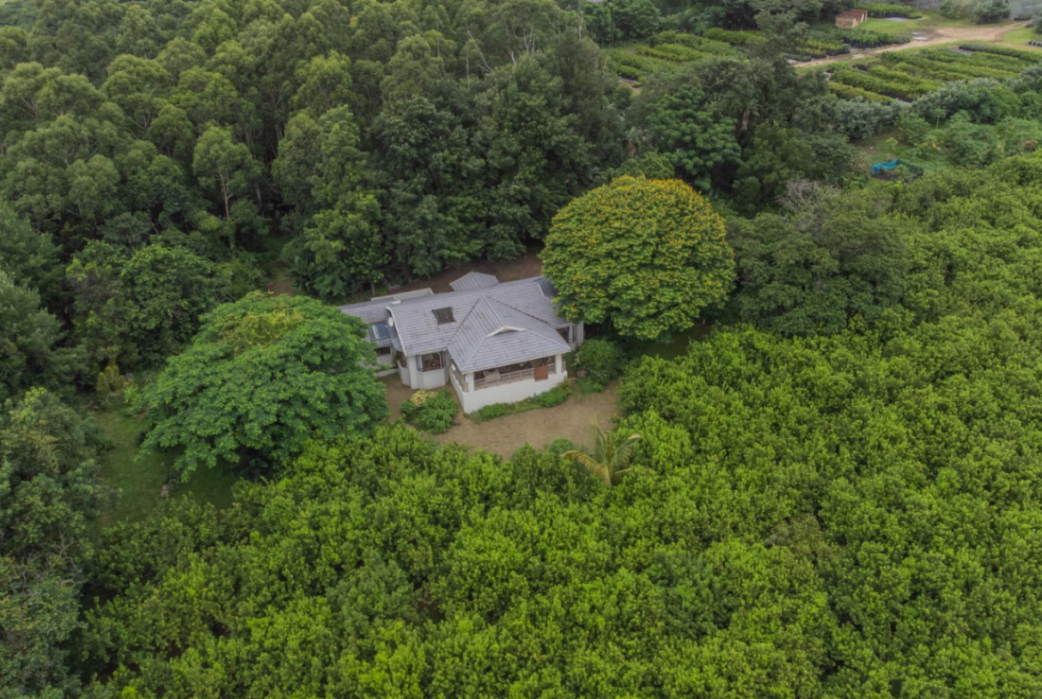 Exceptional 4.5ha Macadamia Farm with 2 Dwellings, Dam & Borehole