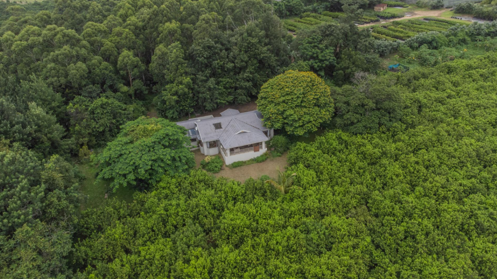 Exceptional 4.5ha Macadamia Farm with 2 Dwellings, Dam & Borehole