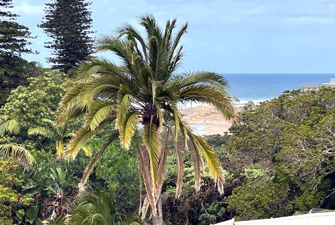 Seaside Elegance: Discover Your Dream Coastal Retreat with Breathtaking Views