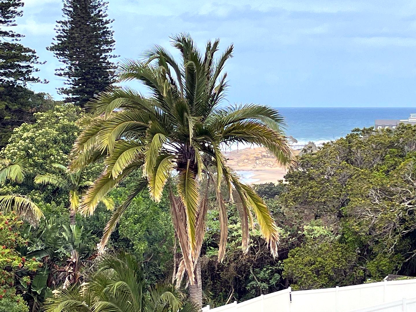 342544149 Seaside Elegance: Discover Your Dream Coastal Retreat with Breathtaking Views