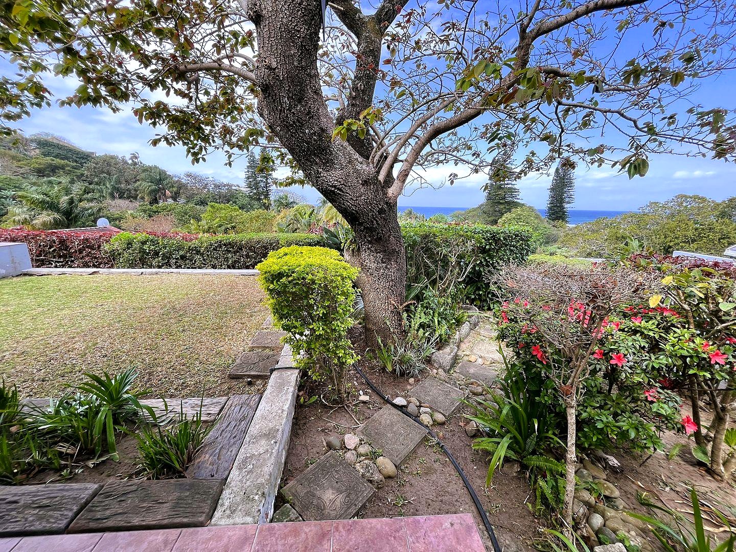 342544151 Seaside Elegance: Discover Your Dream Coastal Retreat with Breathtaking Views
