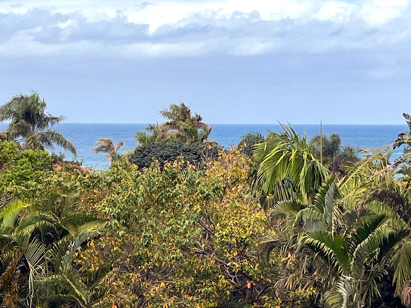 342544162 Seaside Elegance: Discover Your Dream Coastal Retreat with Breathtaking Views