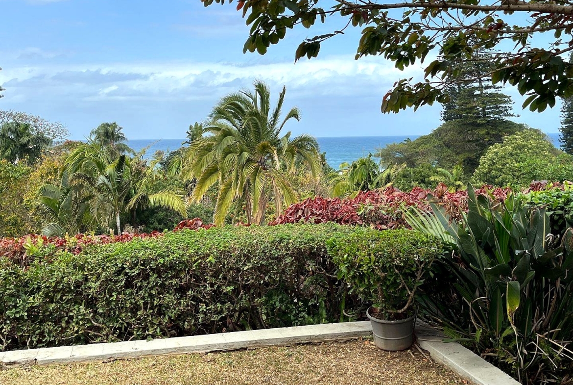 Seaside Elegance: Discover Your Dream Coastal Retreat with Breathtaking Views