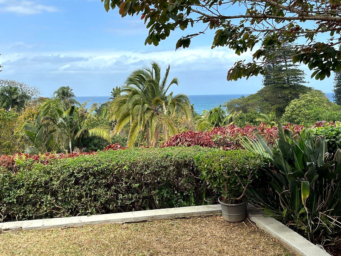 342544188 Seaside Elegance: Discover Your Dream Coastal Retreat with Breathtaking Views