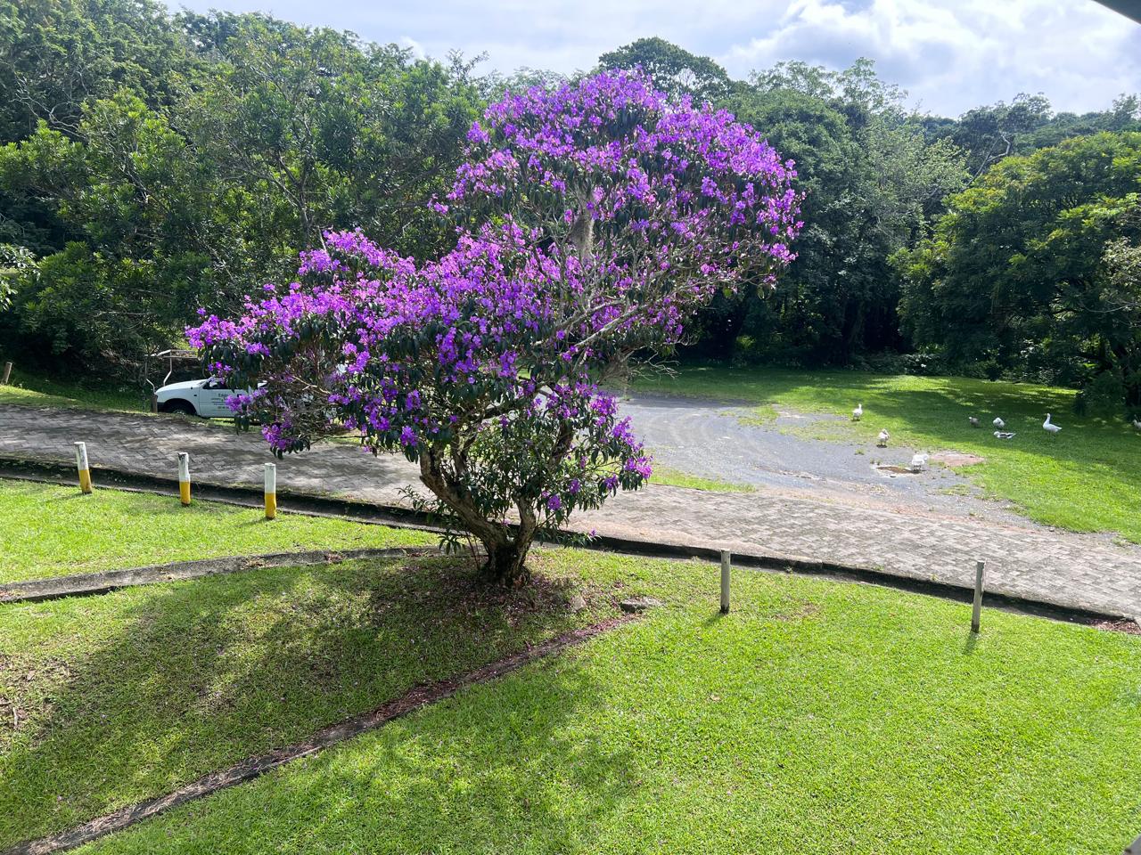 4 Fully Furnished 2-Bedroom Unit For Sale