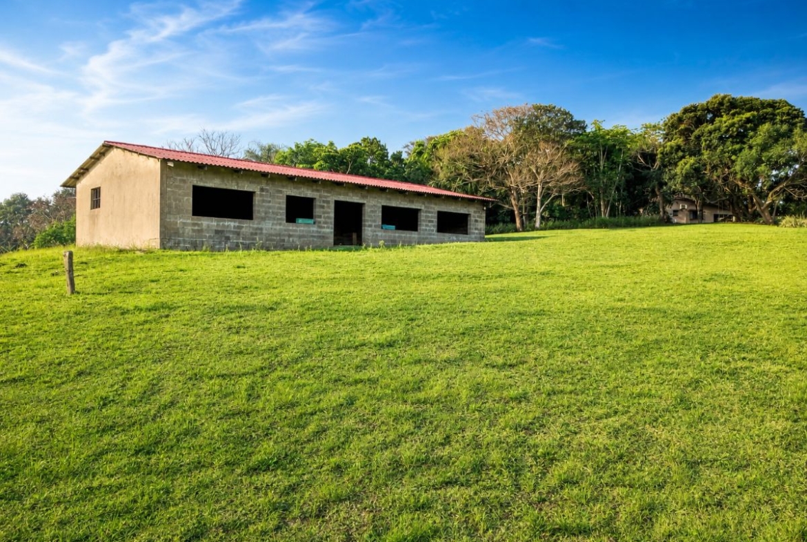 10HA Coastal Farm – Lifestyle, Income & Endless Potential | Leisure Crest, KZN South Coast