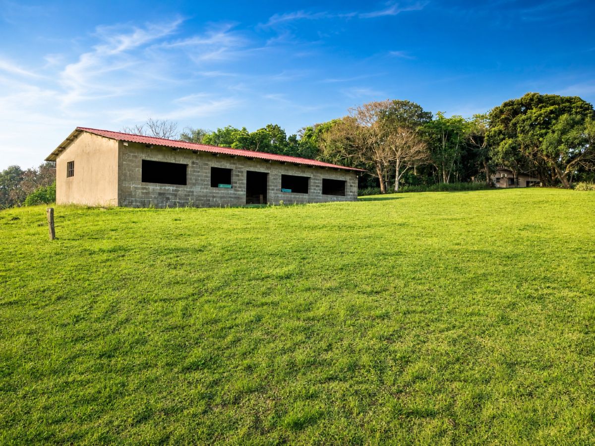 4 10HA Coastal Farm – Lifestyle, Income & Endless Potential | Leisure Crest, KZN South Coast