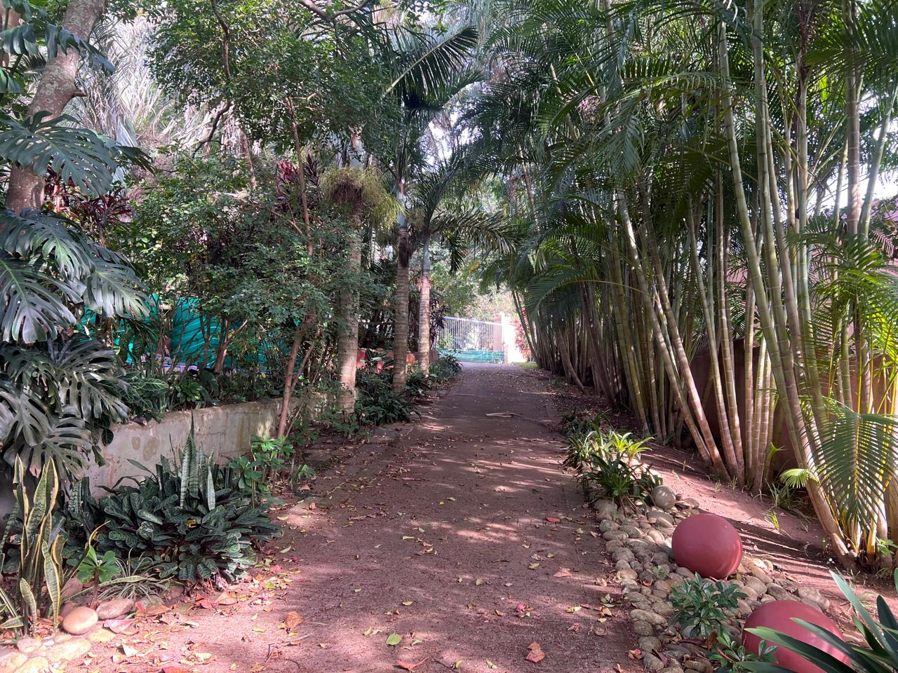 Spacious 5 Bedroom family home with exceptional income potential for sale in the sought-after Marina Beach