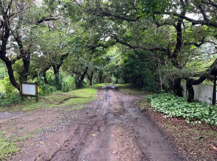 Exceptional 4.5ha Macadamia Farm with 2 Dwellings, Dam & Borehole