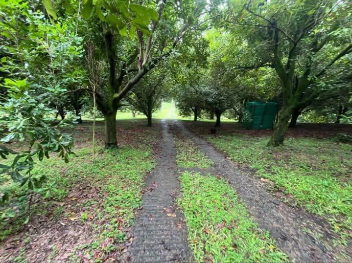 Exceptional 4.5ha Macadamia Farm with 2 Dwellings, Dam & Borehole