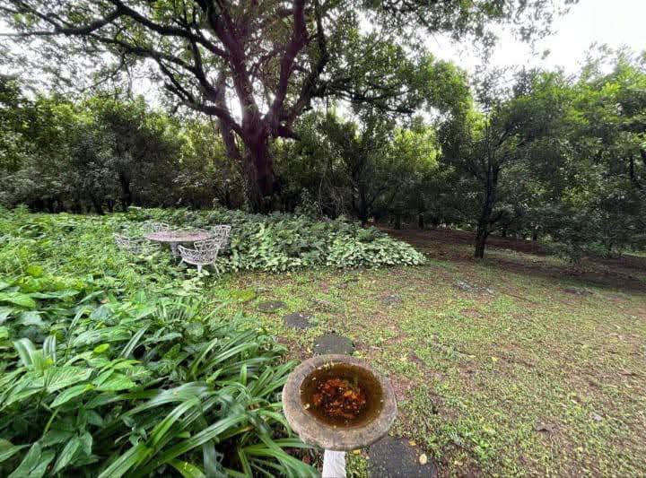 Exceptional 4.5ha Macadamia Farm with 2 Dwellings, Dam & Borehole