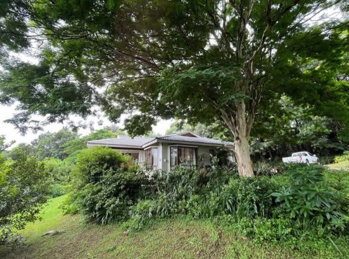 Exceptional 4.5ha Macadamia Farm with 2 Dwellings, Dam & Borehole