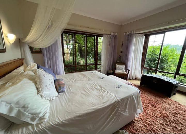 Exceptional 4.5ha Macadamia Farm with 2 Dwellings, Dam & Borehole