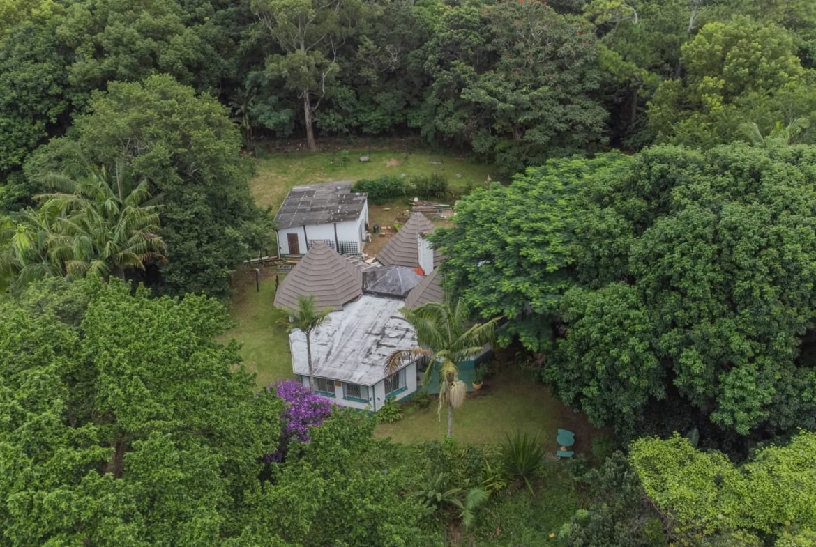Exceptional 4.5ha Macadamia Farm with 2 Dwellings, Dam & Borehole