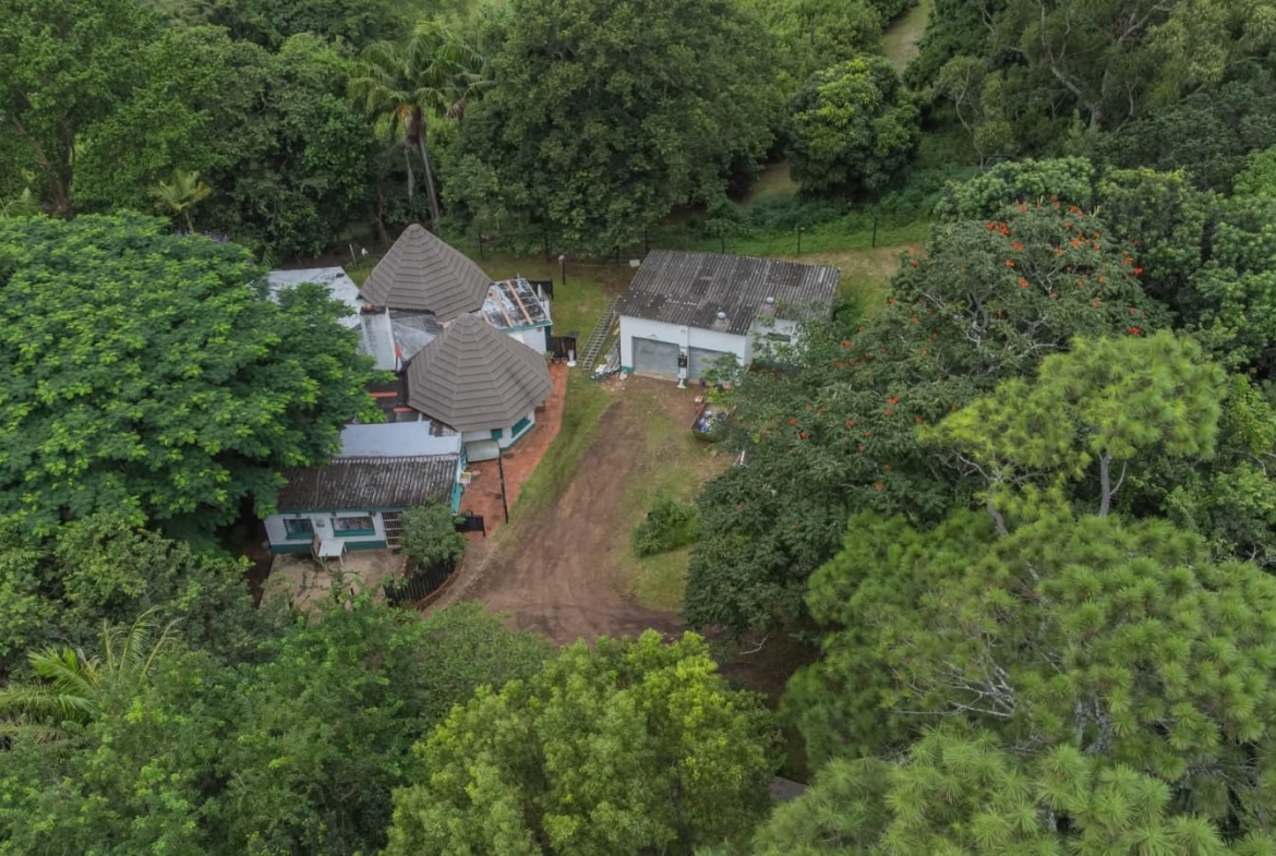 Exceptional 4.5ha Macadamia Farm with 2 Dwellings, Dam & Borehole
