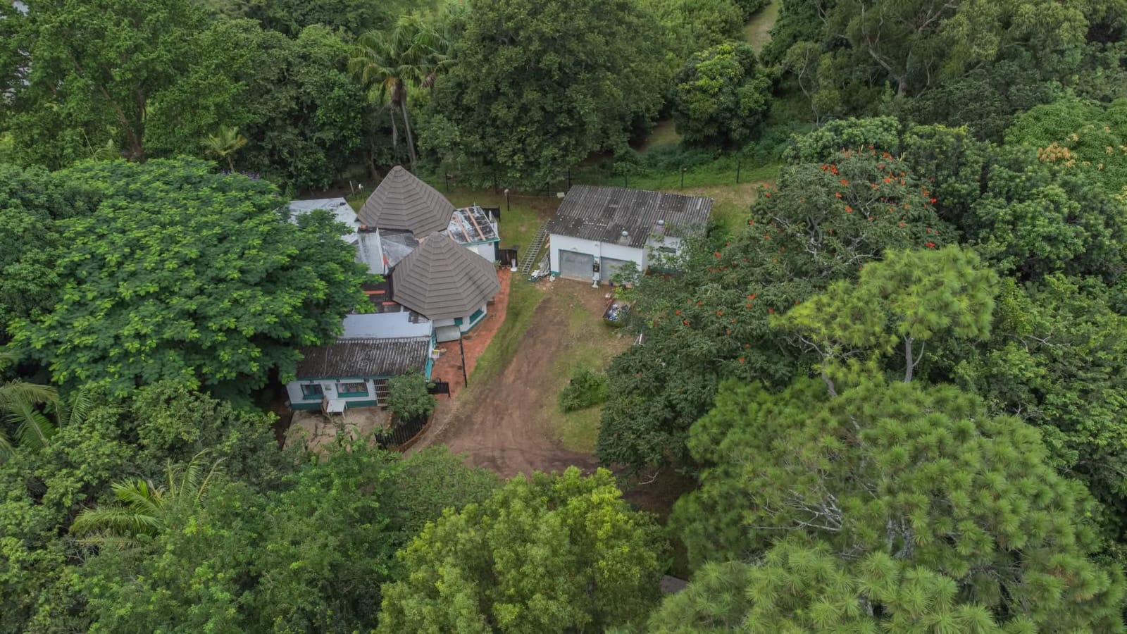 Exceptional 4.5ha Macadamia Farm with 2 Dwellings, Dam & Borehole