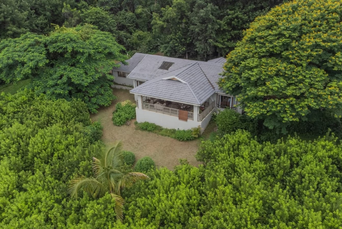 Exceptional 4.5ha Macadamia Farm with 2 Dwellings, Dam & Borehole