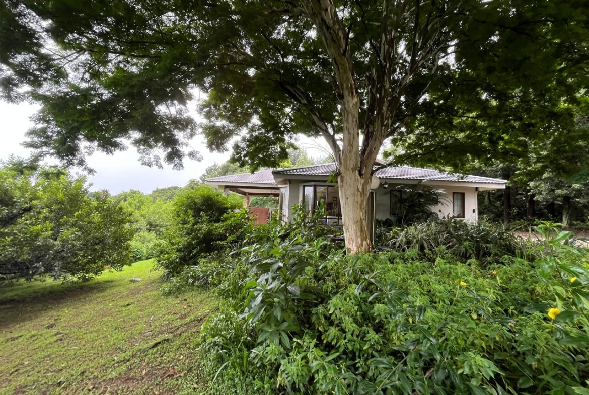 Exceptional 4.5ha Macadamia Farm with 2 Dwellings, Dam & Borehole