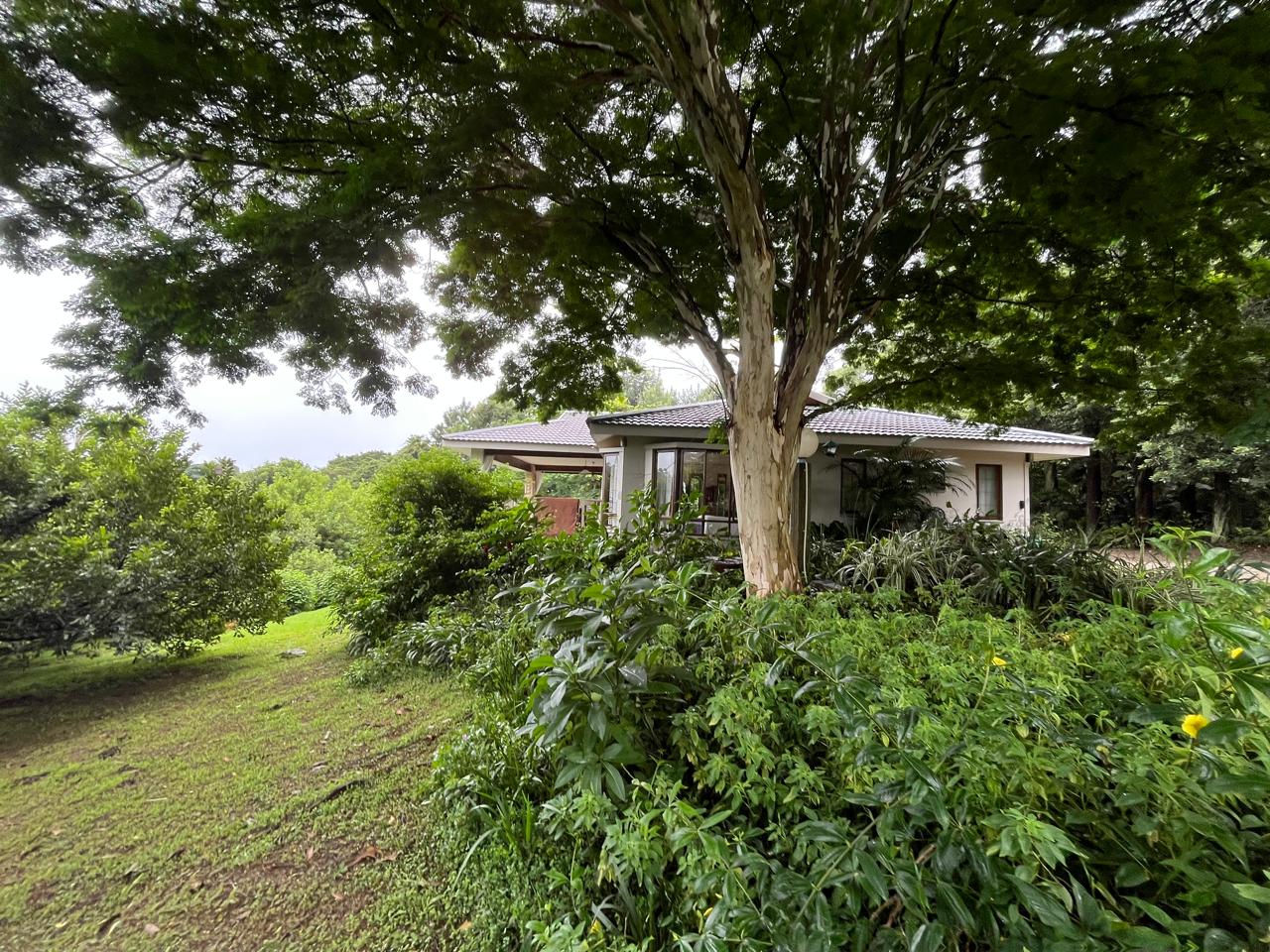 Exceptional 4.5ha Macadamia Farm with 2 Dwellings, Dam & Borehole