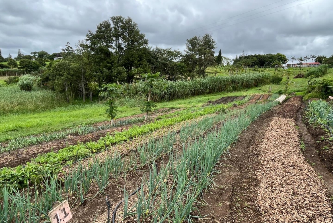 Farm for Sale in Izotsha