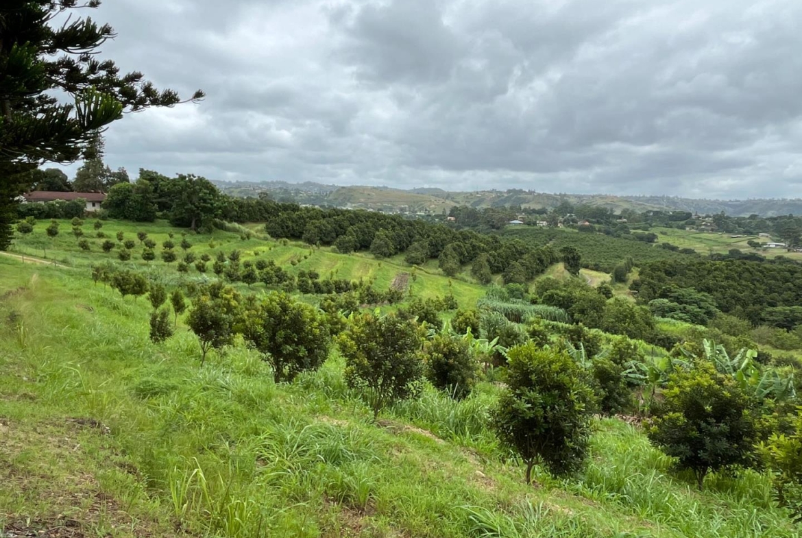 Farm for Sale in Izotsha
