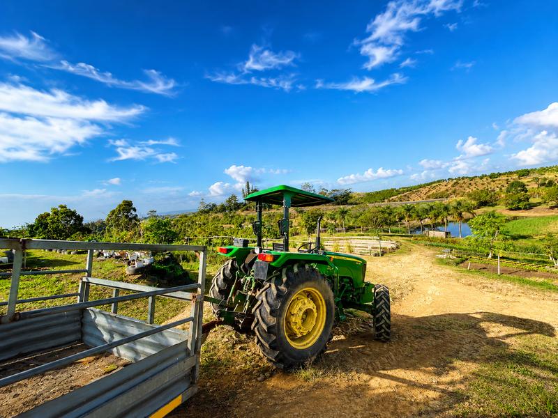Farm for Sale in Izotsha