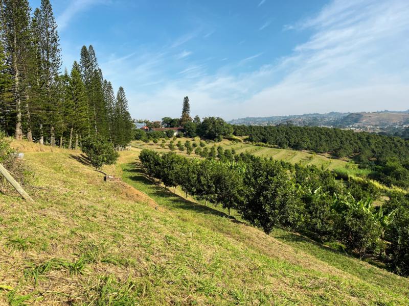 Farm for Sale in Izotsha