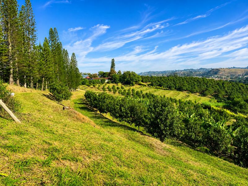Farm for Sale in Izotsha
