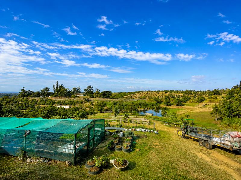 Farm for Sale in Izotsha