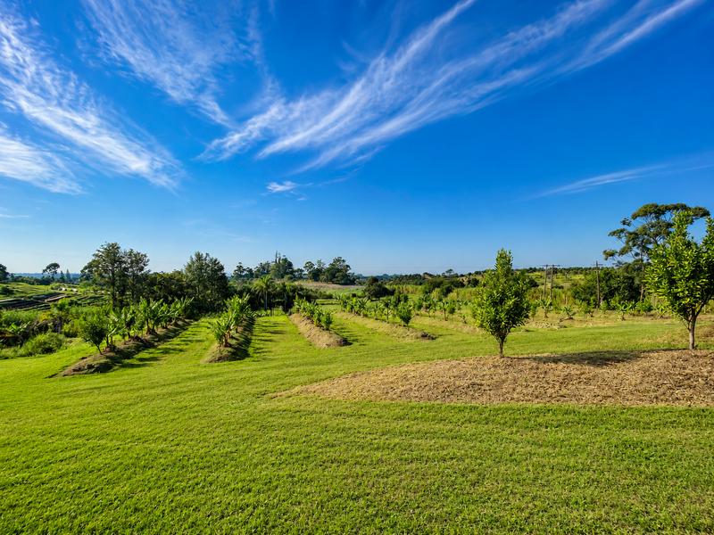 Farm for Sale in Izotsha