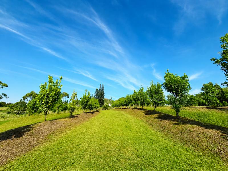 Farm for Sale in Izotsha