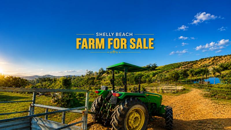 Farm for Sale in Izotsha