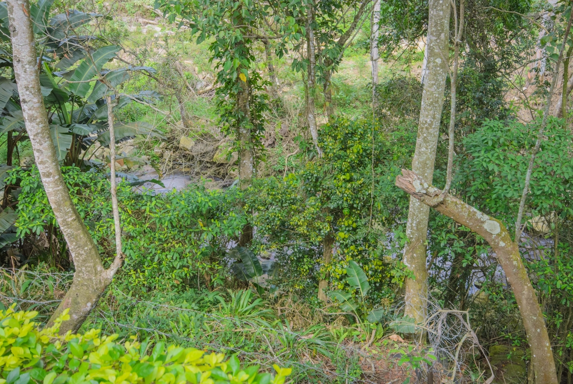 Riverside Living in a Peaceful Eco Estate