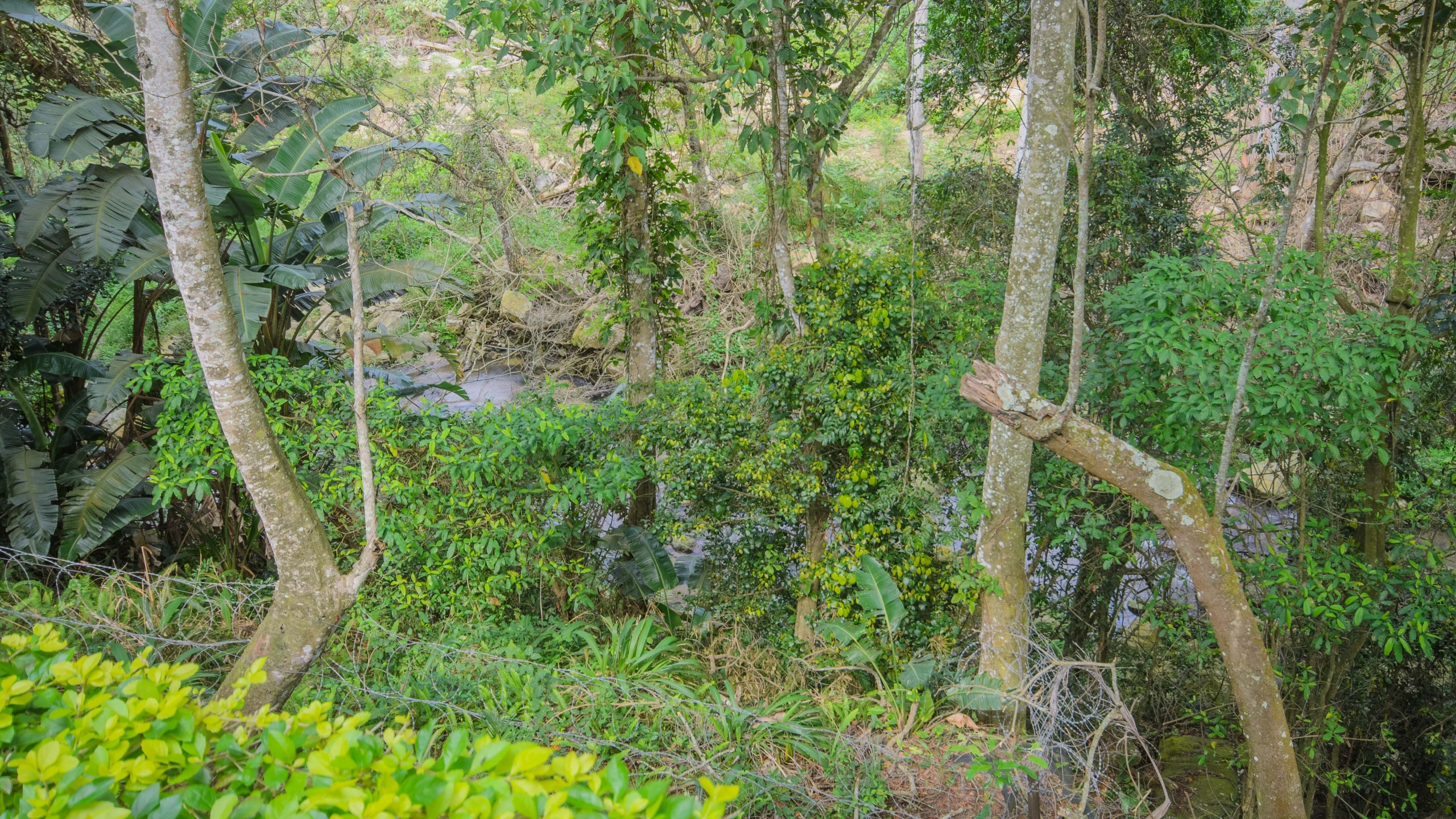 c (192)-HDR Riverside Living in a Peaceful Eco Estate