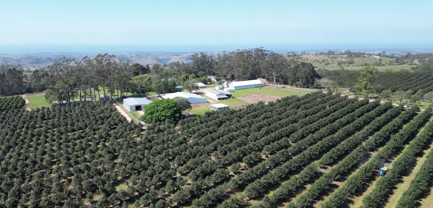 FOR SALE – 100% GOING CONCERN – NO VAT – no transfer duty – FARM PADDOCK
