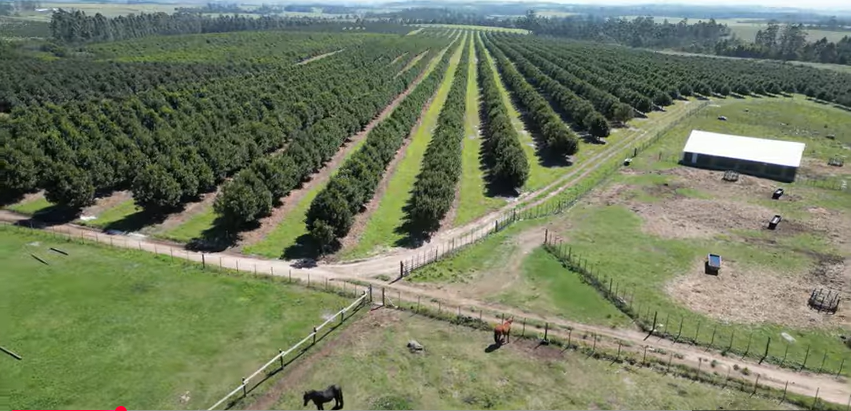 FOR SALE – 100% GOING CONCERN – NO VAT – no transfer duty – FARM PADDOCK
