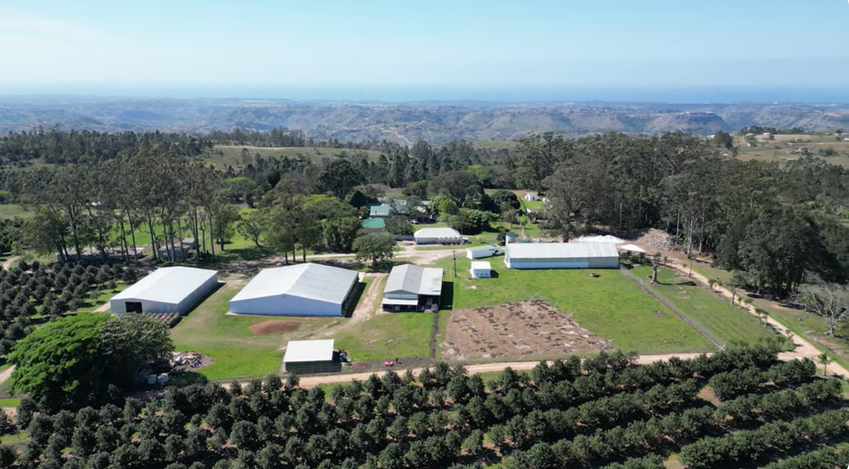 FOR SALE – 100% GOING CONCERN – NO VAT – no transfer duty – FARM PADDOCK