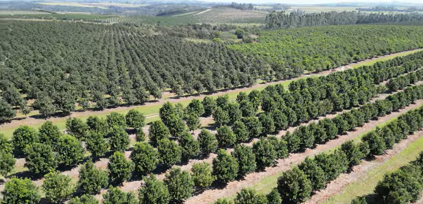 FOR SALE – 100% GOING CONCERN – NO VAT – no transfer duty – FARM PADDOCK