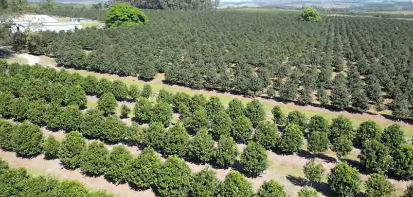 FOR SALE – 100% GOING CONCERN – NO VAT – no transfer duty – FARM PADDOCK