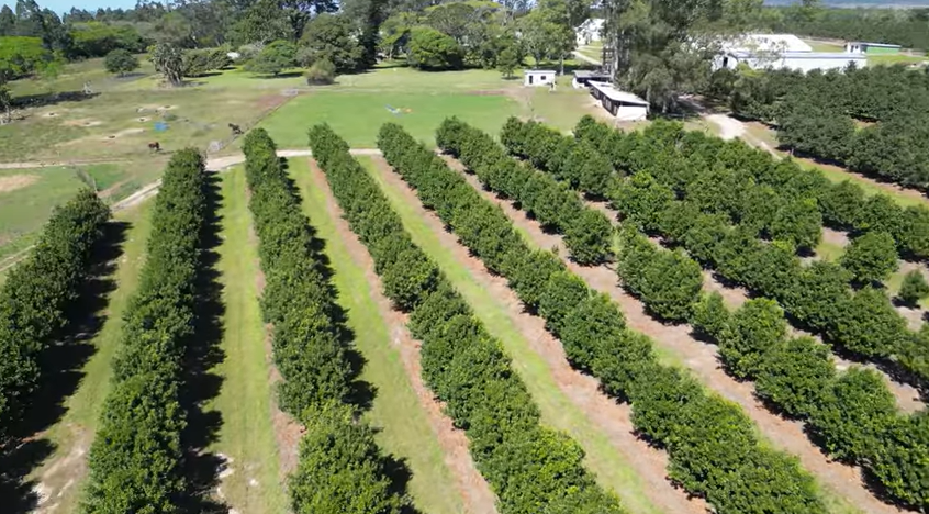 FOR SALE – 100% GOING CONCERN – NO VAT – no transfer duty – FARM PADDOCK