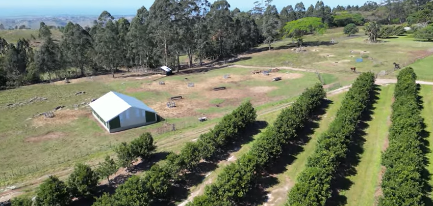 FOR SALE – 100% GOING CONCERN – NO VAT – no transfer duty – FARM PADDOCK