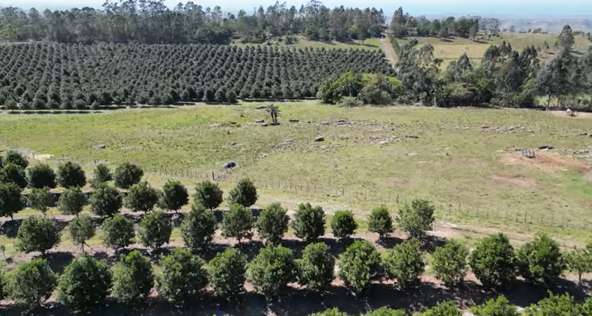 FOR SALE – 100% GOING CONCERN – NO VAT – no transfer duty – FARM PADDOCK