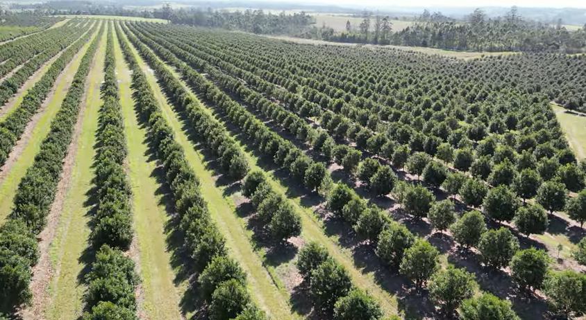 FOR SALE – 100% GOING CONCERN – NO VAT – no transfer duty – FARM PADDOCK