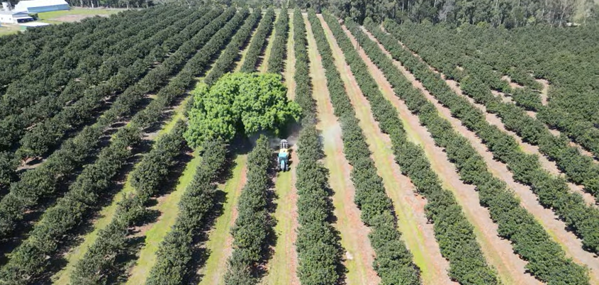 FOR SALE – 100% GOING CONCERN – NO VAT – no transfer duty – FARM PADDOCK