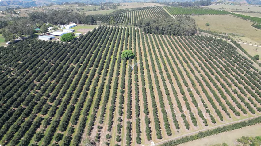 FOR SALE – 100% GOING CONCERN – NO VAT – no transfer duty – FARM PADDOCK