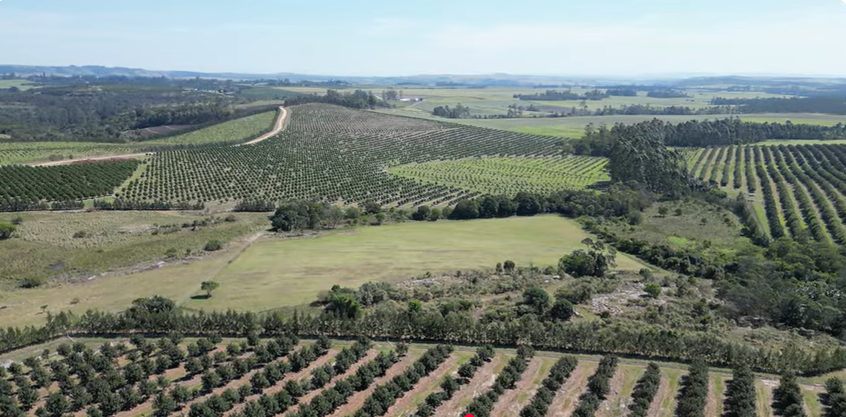 FOR SALE – 100% GOING CONCERN – NO VAT – no transfer duty – FARM PADDOCK